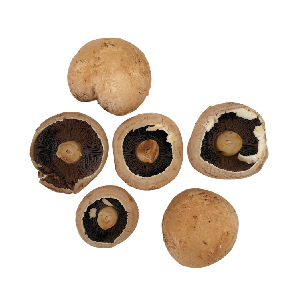 Portobello Mushrooms 250g