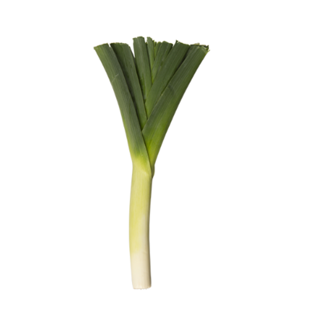 Leek