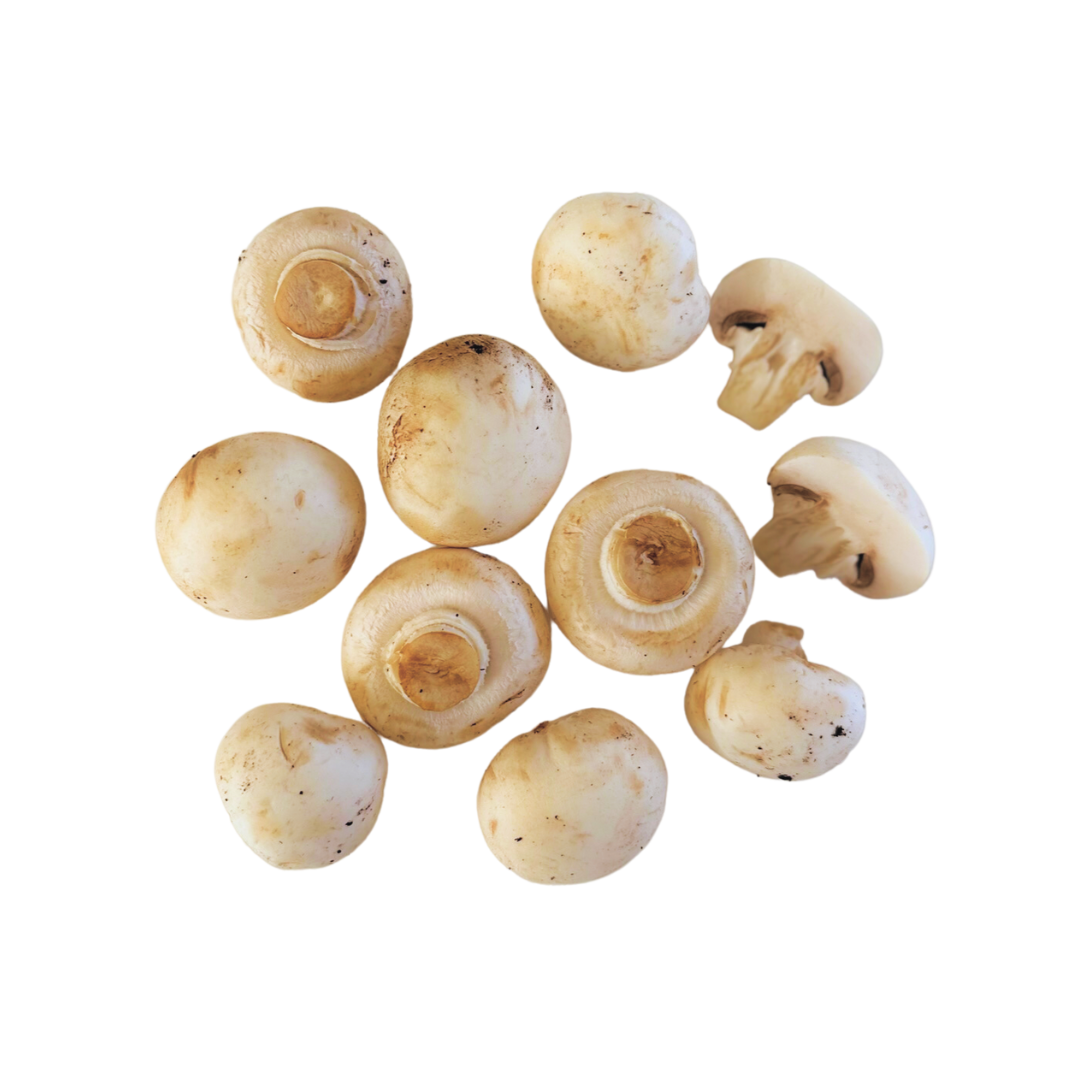 White Button Mushrooms