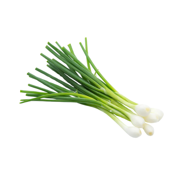 Spring Onion